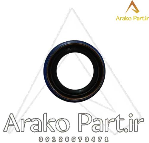 کاسه نمد پلوس برلیانس سری 300 اتوماتیک اصلی